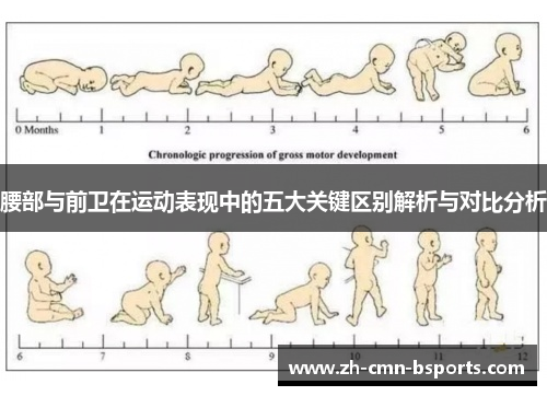腰部与前卫在运动表现中的五大关键区别解析与对比分析
