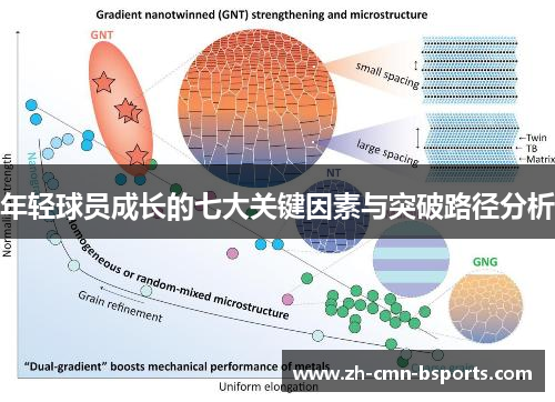 年轻球员成长的七大关键因素与突破路径分析