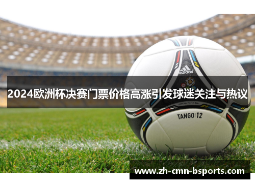 2024欧洲杯决赛门票价格高涨引发球迷关注与热议