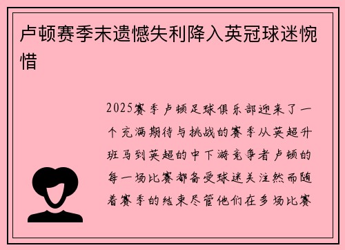 卢顿赛季末遗憾失利降入英冠球迷惋惜