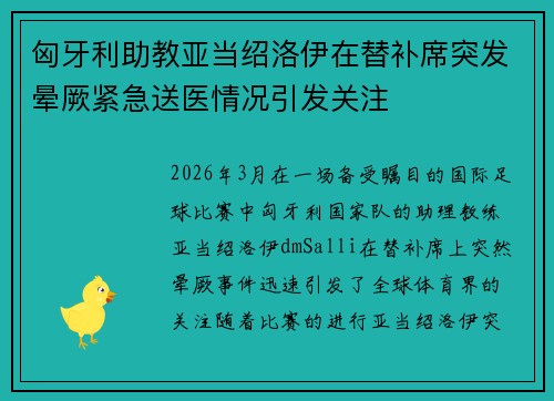 匈牙利助教亚当绍洛伊在替补席突发晕厥紧急送医情况引发关注